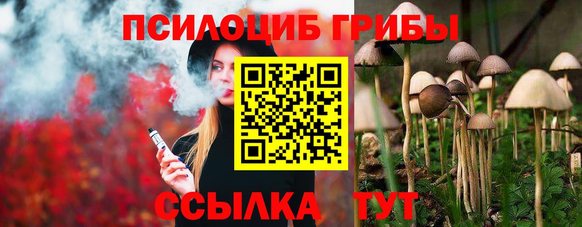 Псилоцибиновые грибы MAGIC MUSHROOMS  Вход с VPN  хочу наркоту  Семилуки 